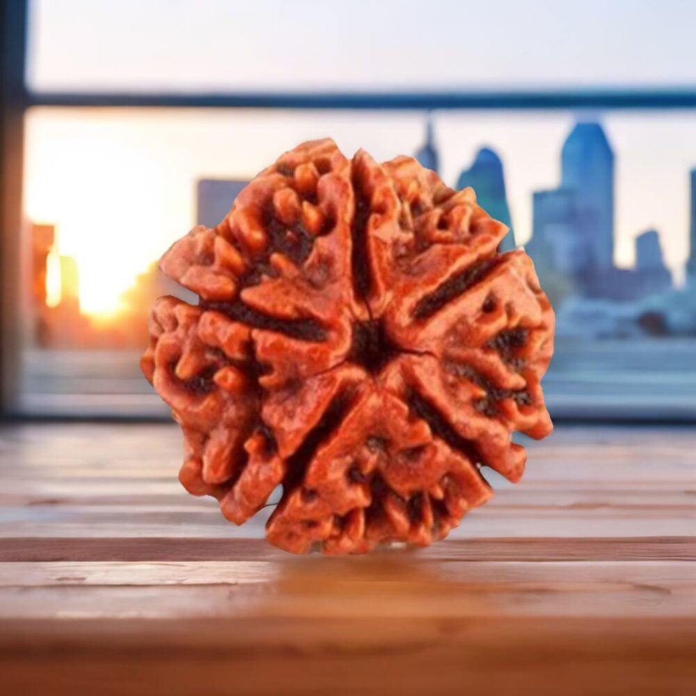 5 Mukhi Rudraksha (The Protector) - Image 3