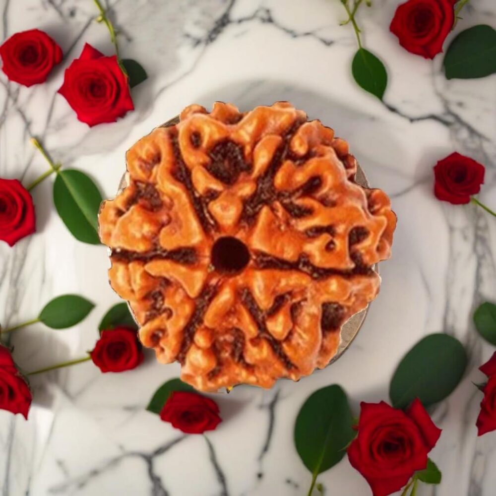 6 Mukhi Rudraksha (The Opulence Seeker) - Image 3