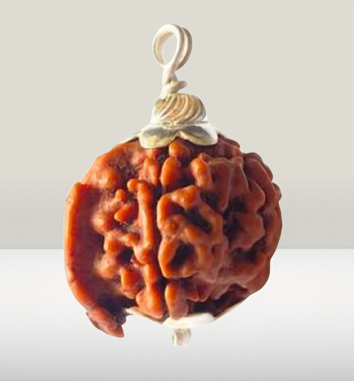 Ganesh Rudraksha (Vighnaharta)