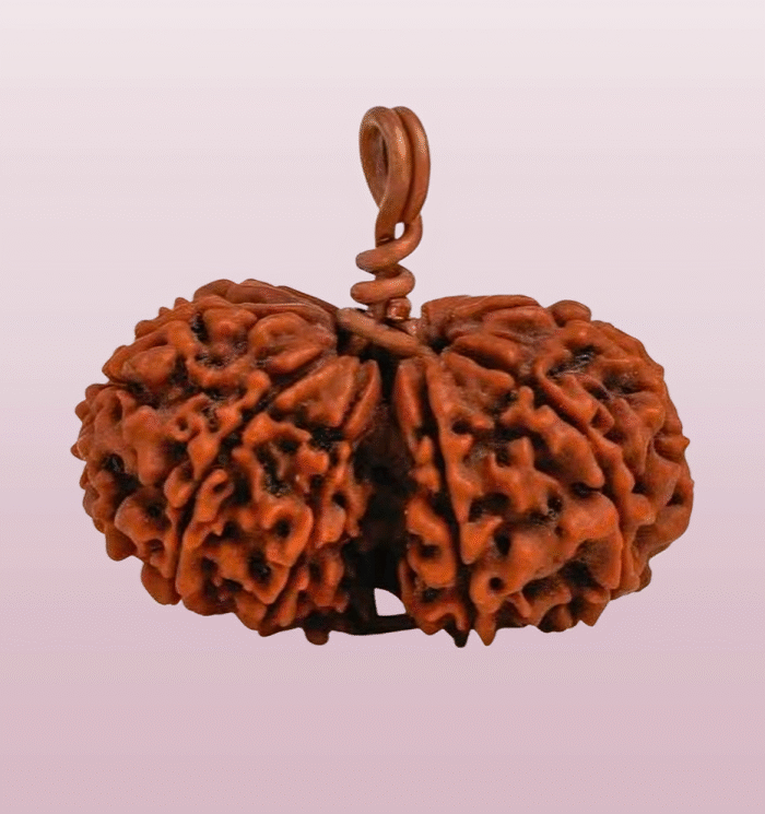 Gauri Shankar Rudraksha (The Relationship Builder)